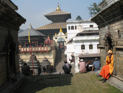 pashupatinath temple