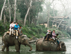 elephant safari